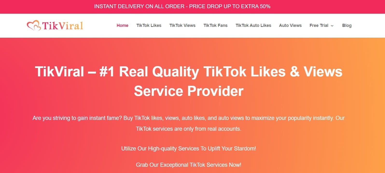 Using TikTok for Social Media Marketing – Review By TikViral