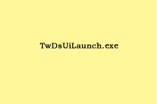 Does TwDsUiLaunch exe Pose A Threat And How To Deal With It?