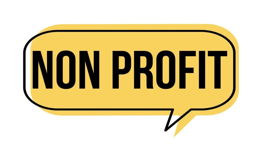 PPC Advertising for Nonprofits in Washington D.C: Leveraging Google Grants and More