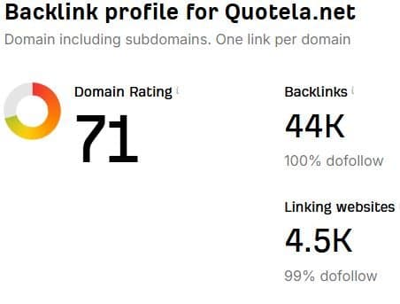 How the Site is Performing: Backlink Profile
