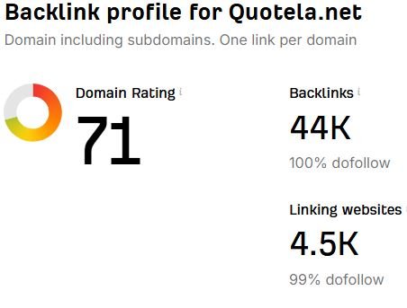 How the Site is Performing: Backlink Profile